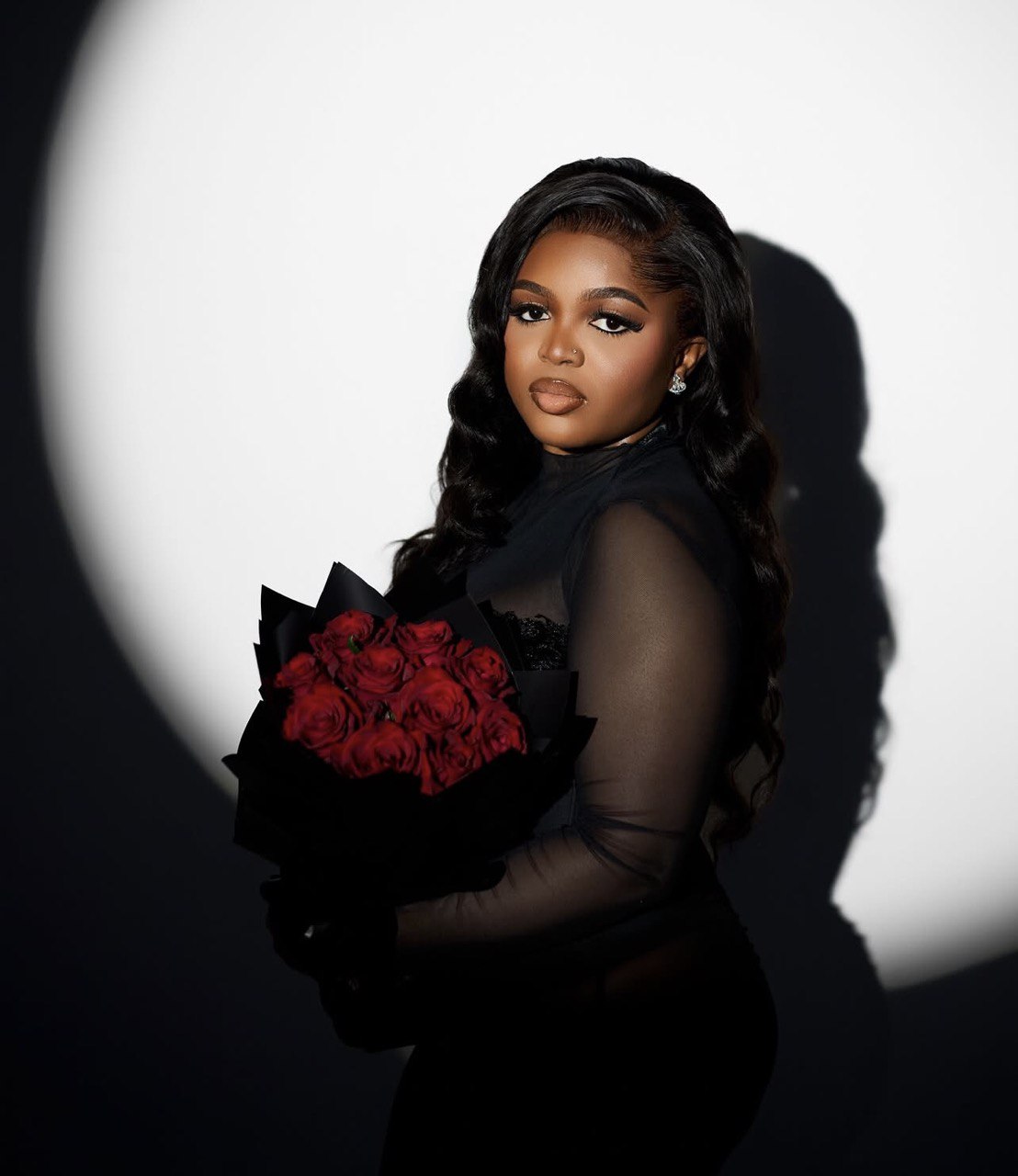 Spotlight with red roses